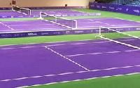 sports surface coatings