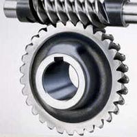 Worm Gear