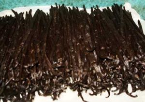 Processed Vanilla Beans