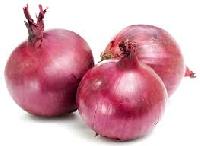 Fresh Onion