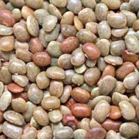 Horse Gram Seeds