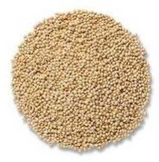 Millet Seeds