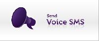 Voice Sms Services