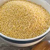 Barnyard Millet Seeds