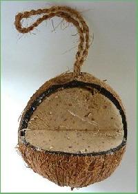 Coconut Shell Bird Feeder