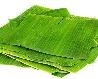 Banana Leaf Paper