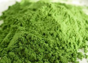 Wheatgrass Powder Organic