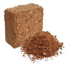 coco coir