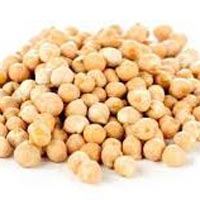 White Chickpeas