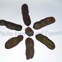 Tamarind Pods