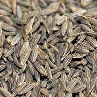 Cumin Seeds