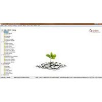 Offline Desktop Software Development