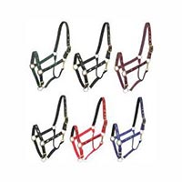 Horse Halters