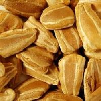Bitter Gourd Seeds