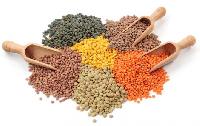 Organic Pulses