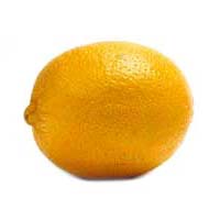 Fresh Lemon