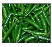 Fresh Green Chilli