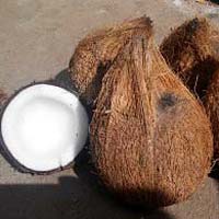 Fully Husked Coconut