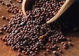 Black Mustard Seeds