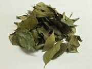 Curry Leaves