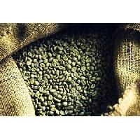 Green Coffee Beans