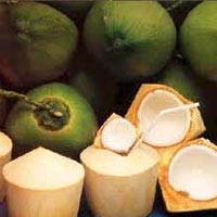 Tender Coconuts