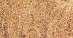 Coir Cut Fiber