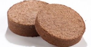 coir disk