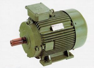 ELECTRIC FLAME PROOF MOTOR