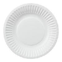 plane paper plates