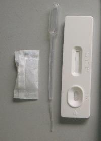 typhoid test kits