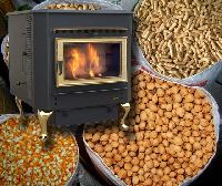 biomass fuel stove