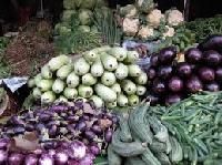 Indian Fresh Vegetables