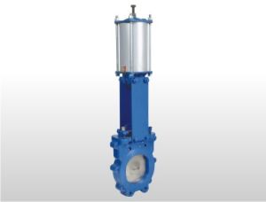 pneumatic operated valve