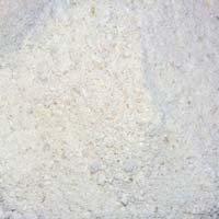 Chicory Raw Powder