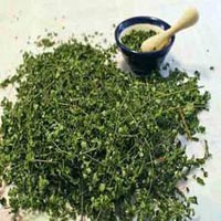 Dried Moringa Leaves