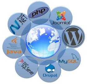 Web Development Service