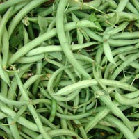 Fresh Green Beans