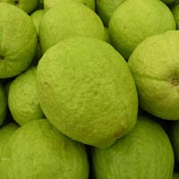 Guava Fruits