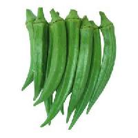 Okra