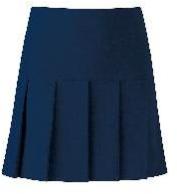 School Skirt