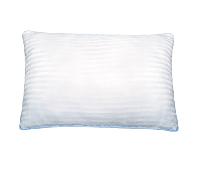 Fern 27” X 17” Pillow