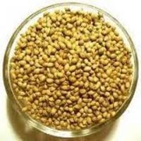 Coriander Seeds