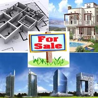 Property Dealer Services