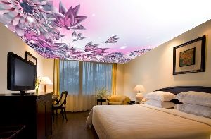 3D Ceiling Designing Services