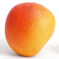 Fresh Mango