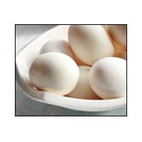 Poultry Eggs