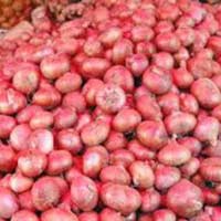 Fresh Red Onion