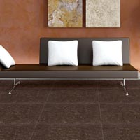 Soluble Salt Polished Vitrified Tiles