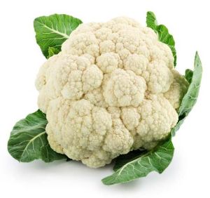 Fresh Cauliflower